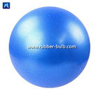 Anti boule éclatée de forme physique de yoga de PVC de 65cm avec la pompe rapide d'inflation