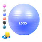 Boule adaptée aux besoins du client de yoga d'exercice d'éclat d'anti logo, boule de gymnastique rythmique