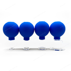 le massage mettant en forme de tasse du cadeau 4PCS de 15/25/35/55mm de silicone bleu de paquet a placé l'aspiration les tasses que réglées mettantes en forme de tasse nettoient à l'aspirateur la thérapie mettante en forme de tasse