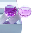 Globes de refroidissement congelés de glace de rose de Massager de Cryo de marque de distributeur faite sur commande de la meilleure qualité d'OEM pour le visage