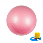 Boule d'exercice (45cm-75cm), chaise de boule de yoga avec la pompe rapide, boule de forme physique de stabilité pour la formation de force de noyau et examen médical