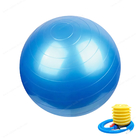 PVC mou 45 d'anti éclat boule de gymnase d'équipement d'exercice de boule de yoga de gymnase de 55 65 75cm